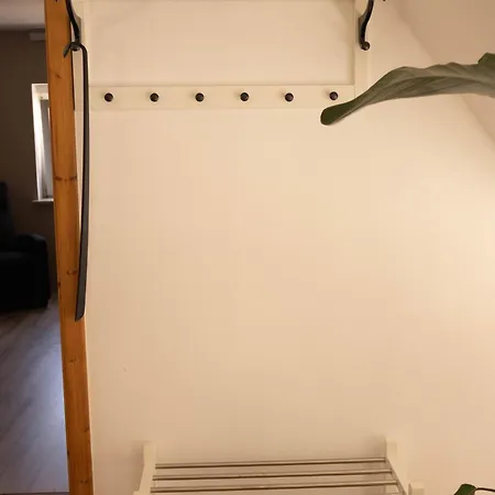 Kuzey Apartments Kappel-Grafenhausen Extérieur photo